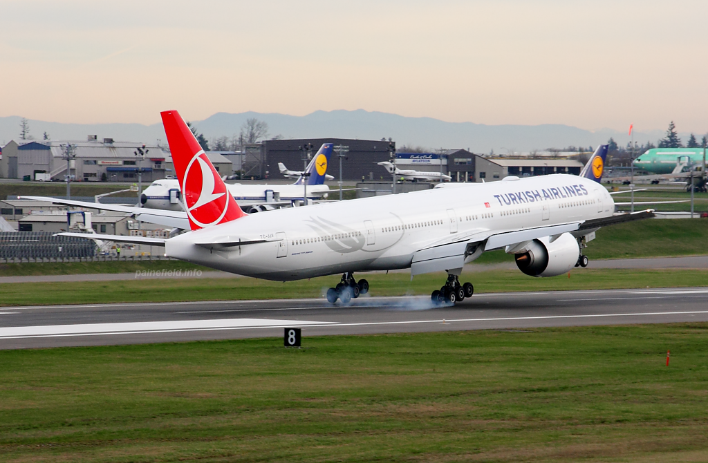 Turkish Airlines 777 TC-JJV at Paine Field
